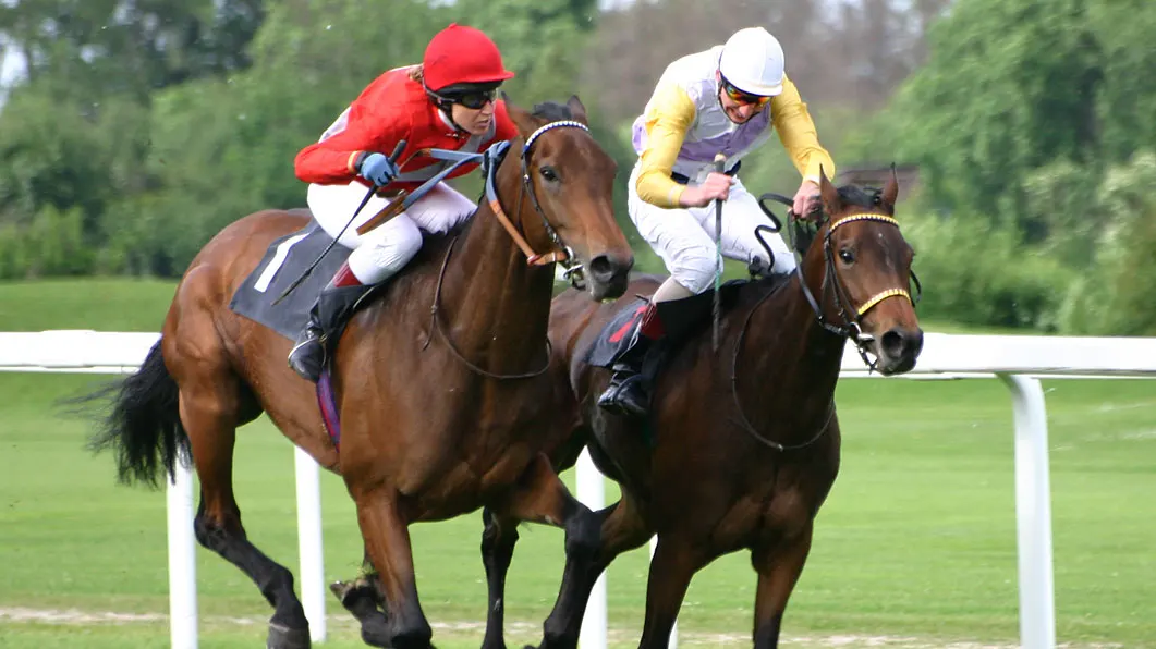 how to bet on jockey challenge sportsbet - horse racing