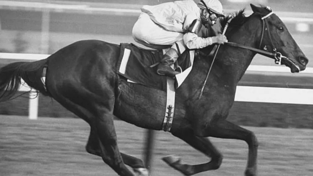 Horse racing - how to bet on jockey challenge sportsbet